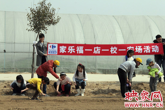 小朋友們?cè)谵r(nóng)場(chǎng)工作人員的指導(dǎo)下種植娃娃菜 小朋友們?cè)谵r(nóng)場(chǎng)工作人員的指導(dǎo)下種植娃娃菜