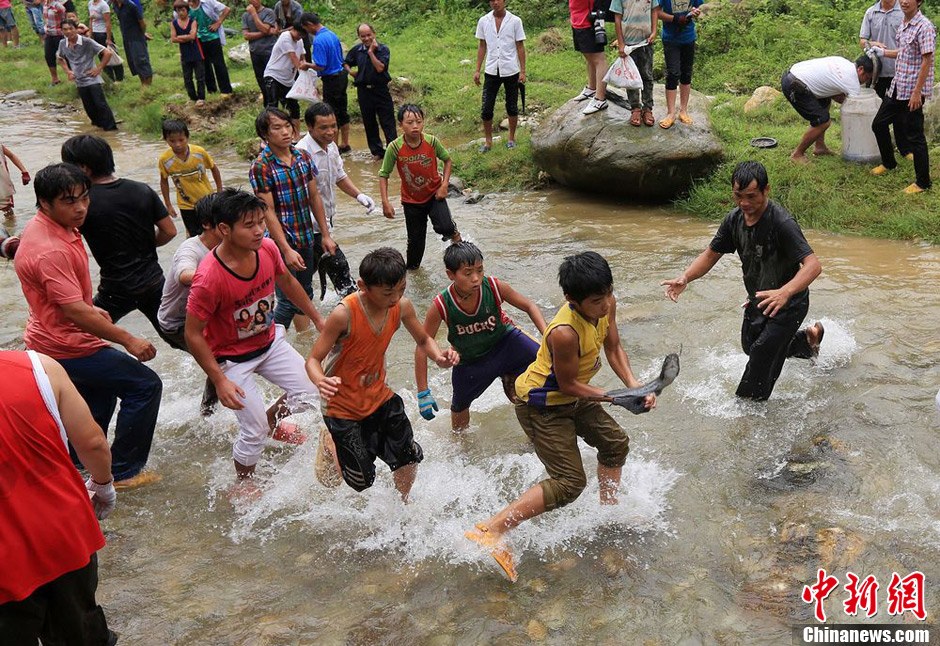 7月9日，村民在小河里摸魚搶魚。譚凱興 攝