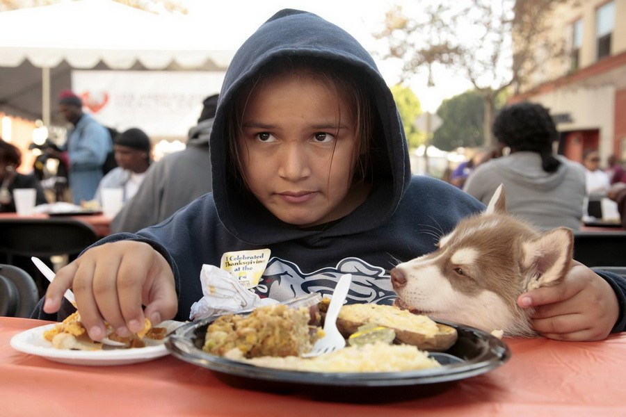 11月21日，加州洛杉磯的游民巷，12歲的堂娜·赫南德茲抱著愛犬“湯米”，安靜地吃著免費的感恩節(jié)飯菜