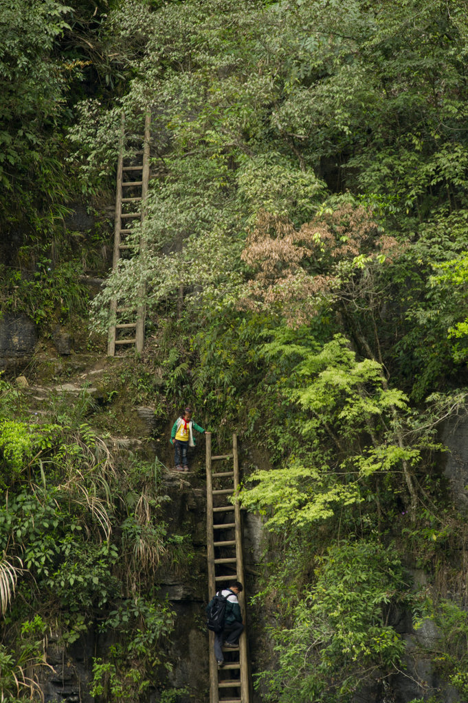 湖南一山村兒童每天需攀爬垂直天梯上學(xué)(圖)