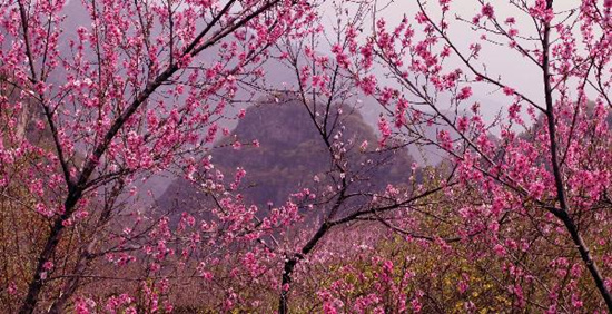 撿垃圾換玫瑰 女人節(jié) 愛在神農(nóng)山！