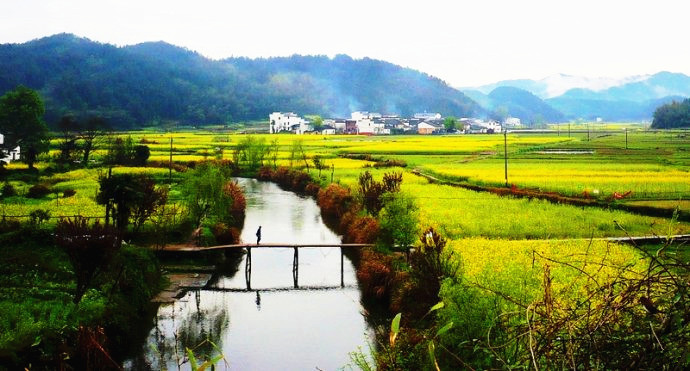 我和鮮花的約會(huì) 三月旅游賞花大攻略