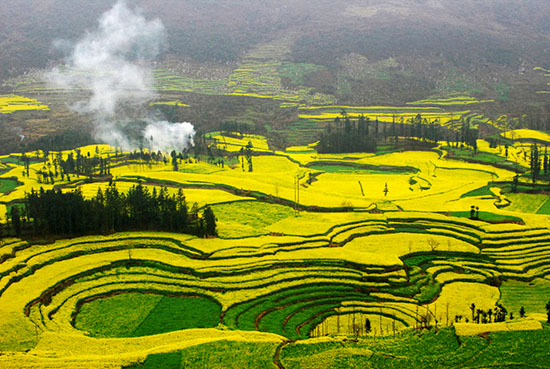 我和鮮花的約會(huì) 三月旅游賞花大攻略