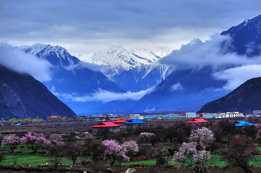 我和鮮花的約會(huì) 三月旅游賞花大攻略