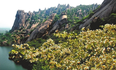 正好清明連谷雨春滿嵖岈花滿山