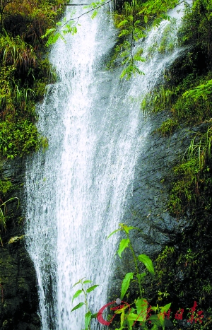 懷寶鎮(zhèn):打同年趕坡會 大山深處的派對