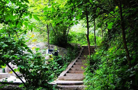 炎炎夏日 避暑哪里去