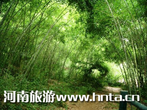 [河南洛陽]持“中原旅游年卡”惠游洛陽金牌景區(qū)