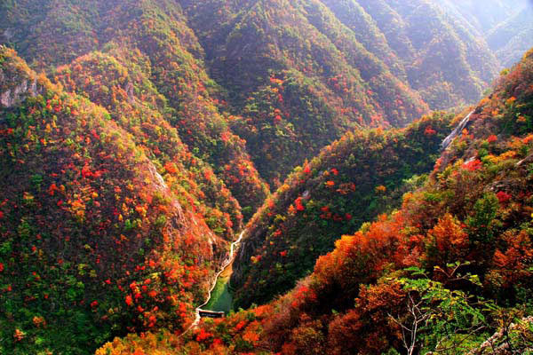 旅游商城享特惠 35元暢游欒川養(yǎng)子溝