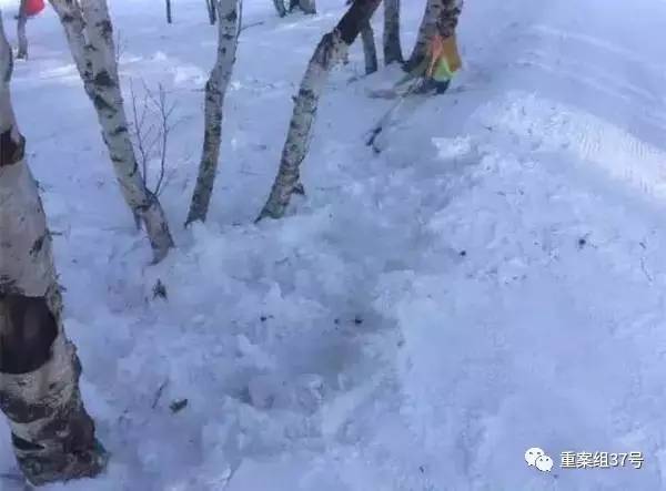 10歲男童滑雪墜崖身亡 滑雪場內無監(jiān)控引家屬質疑