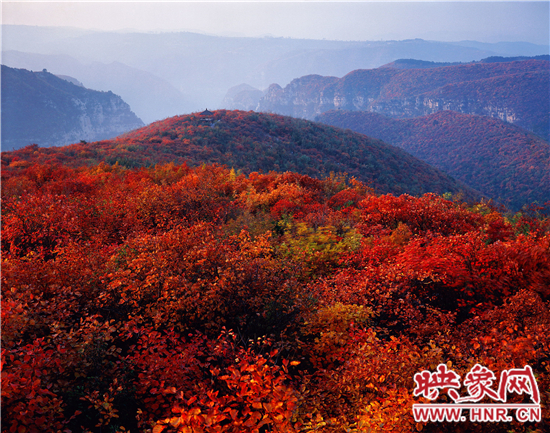 青天河景區(qū)空氣負(fù)離子濃度超高 是天然大氧吧