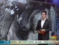 浙江驚現“女兒河” 河里全是雌性魚