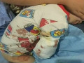 猛獸出沒 注意！2歲男童在動物園被白虎咬掉右臂