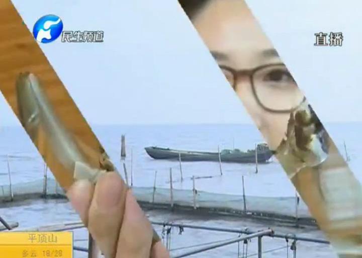 陽澄湖大閘蟹？假的！