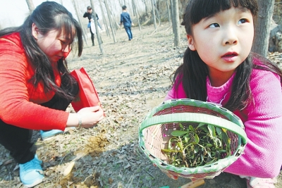 春季想挖野菜去哪里 鄭州采挖線路圖攻略